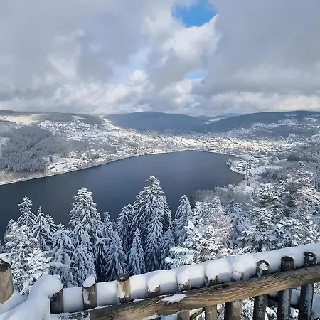 Apartment Du A Grardmer Vue Gerardmer